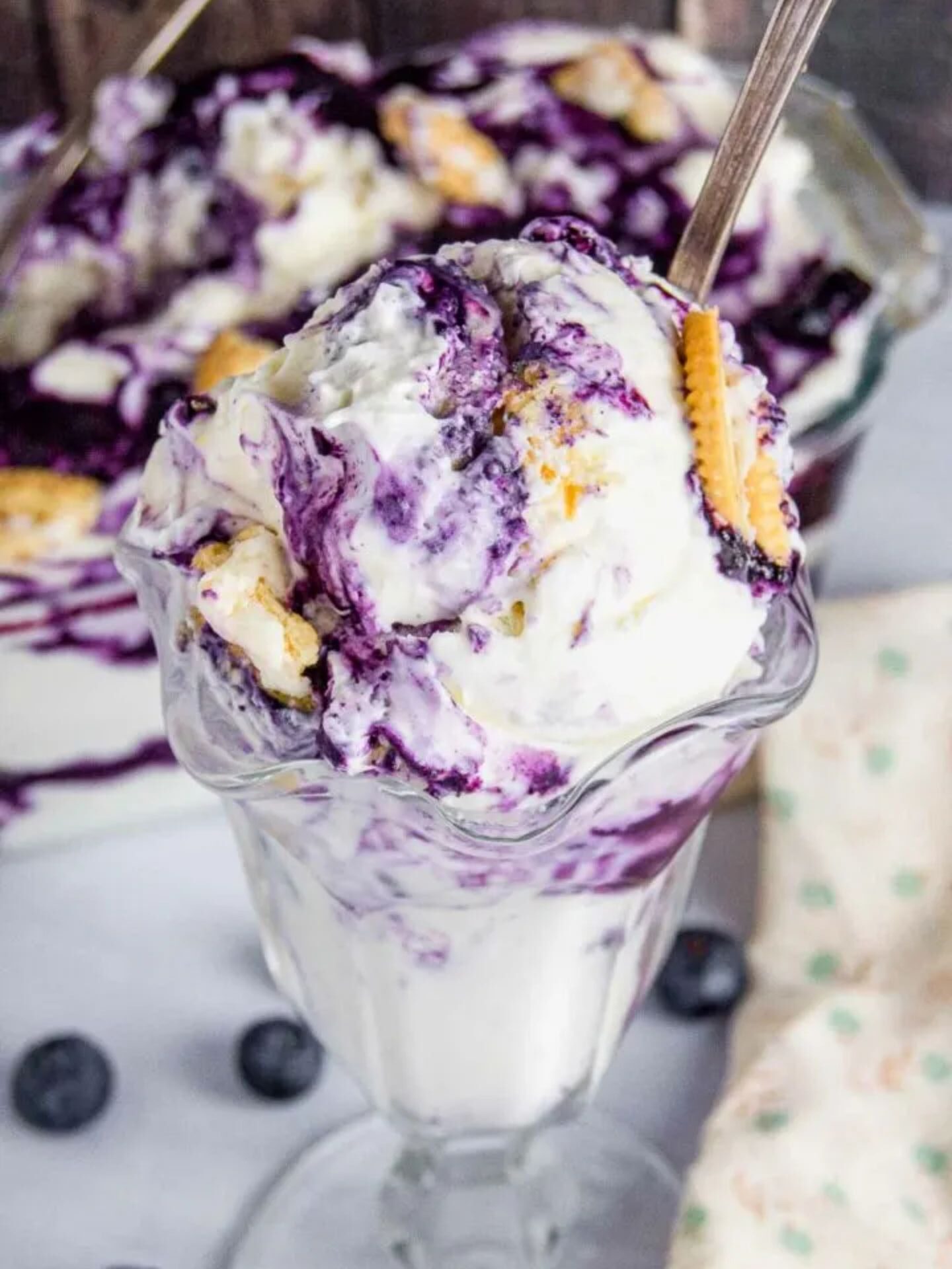 Blueberry Cheesecake Ice Cream