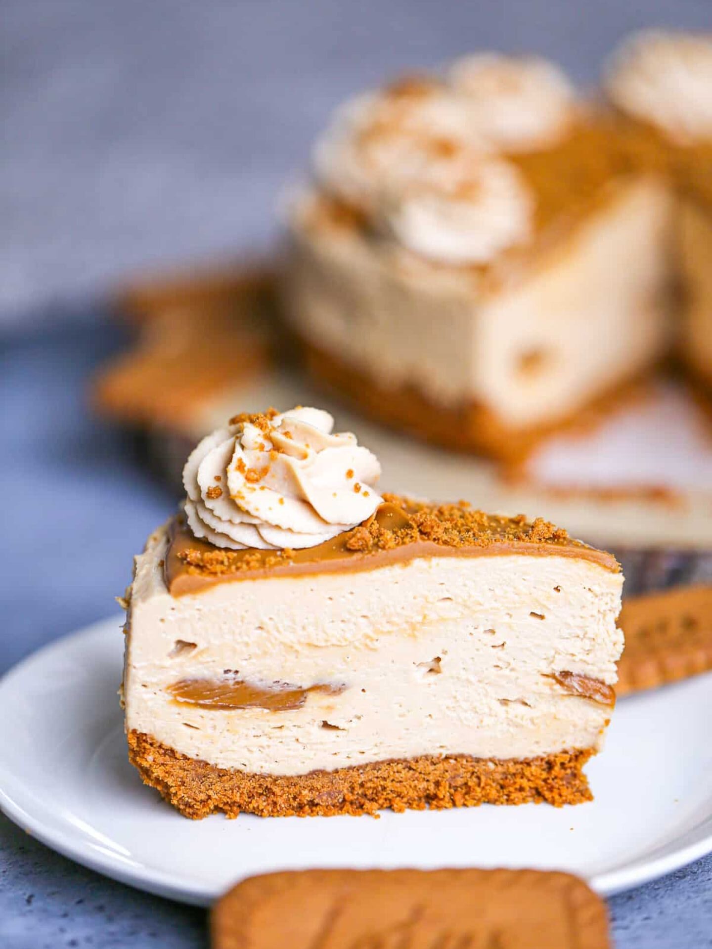 No Bake Biscoff Cheesecake 