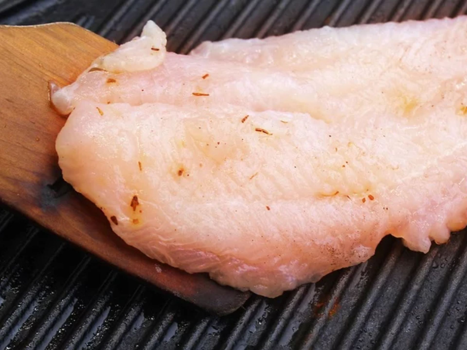 Grilled Redfish Recipes